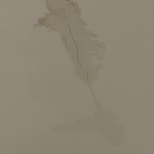 Cedar Shake Roof Leak & Drywall Repair 13