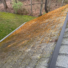 Roof Cleaning & Deck Stain In Zionsville, IN 7