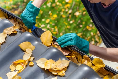 Gutter Cleaning Thumbnail