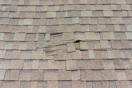 Roof Repair Thumbnail